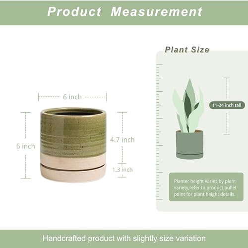 6 Inch Plant Pots
