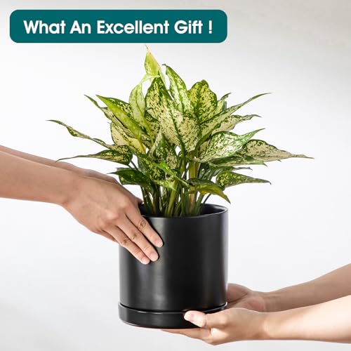 Ceramic Planters (3 Count)