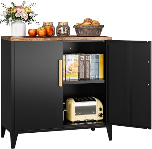 Black Storage Cabinet with Doors and Shelves