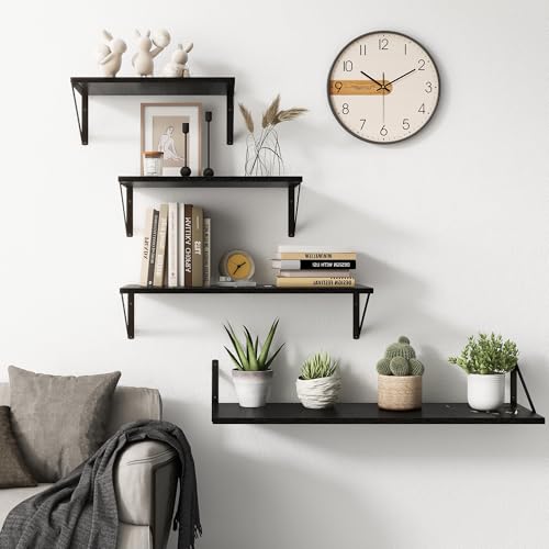 Black Floating Shelves 18 Inch Long (2 Count)