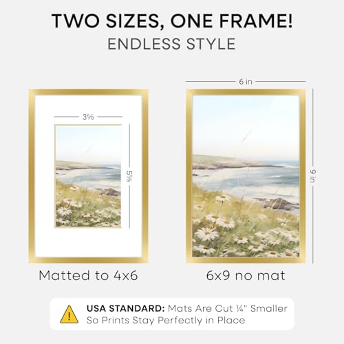 6x9 Gold Picture Frame (3 Count)