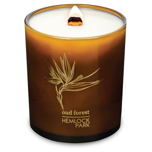 Oud Forest Amber & Gold Crackling Wood Wick Candle
