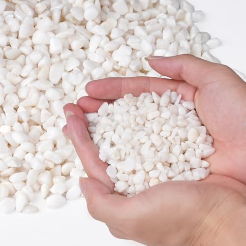 2.5 lbs White Aquarium Gravel (2.5 Pound)
