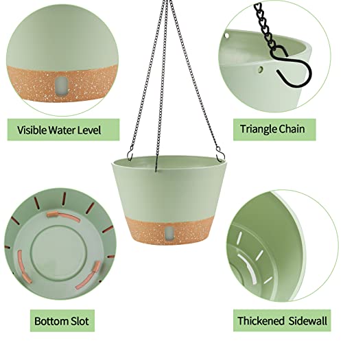 2 Pack Hanging Planters
