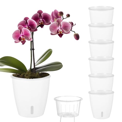 Self Watering Pots for Indoor Plants (6 Count)