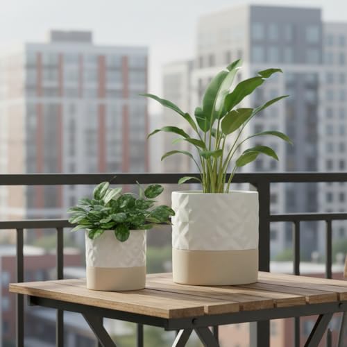 Self Watering Plant Pot for Indoor Plants