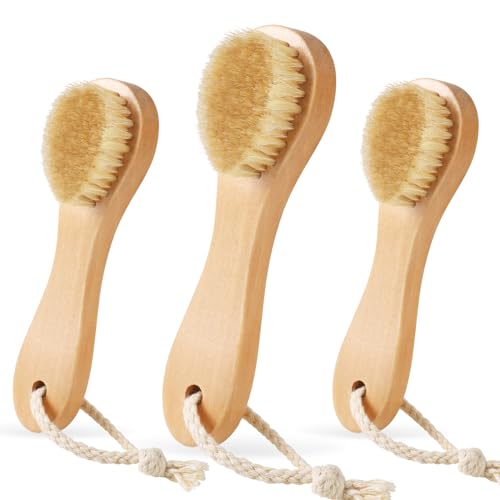 3 Pcs Wood Laundry Stain Brush Stain Remover Brushes with Boar Bristle Small Stain Brush for Clothes for Scrubbing Stains from Furniture Fabric Leather (3 Count)