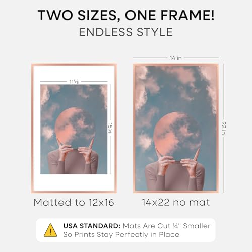 14x22 Rose Picture Frame