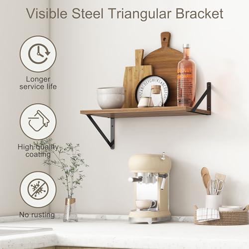 20 Inch Floating Shelves (2 Count)