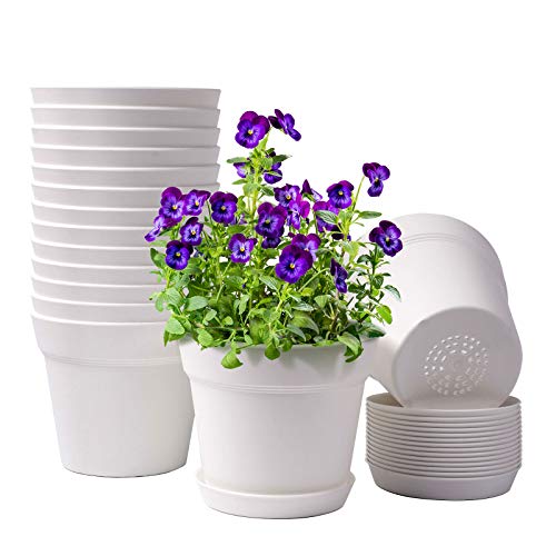 6 Inch Plastic Plant Pots with Drainage Holes and Trays (15 Count)