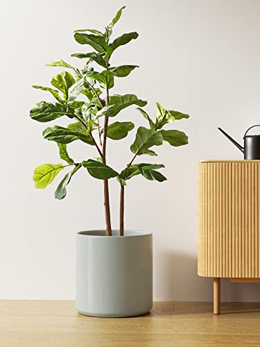 12 Inch Pot for Plants