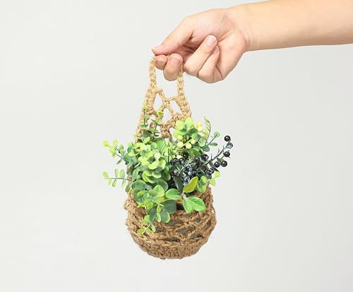 3 Packs Macrame Wall Plant Hanger for 4 in (3 Count)
