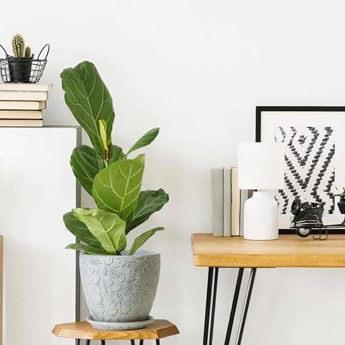 10inch Retro Ceramic Planter with Drainage Hole and Saucer for Multiple Plants