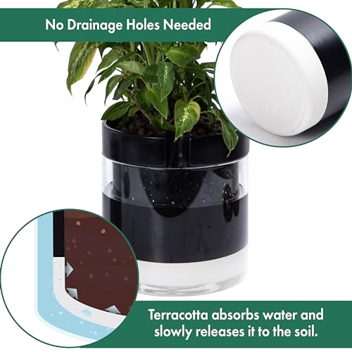 10 Inch Self Watering Terracotta Planter