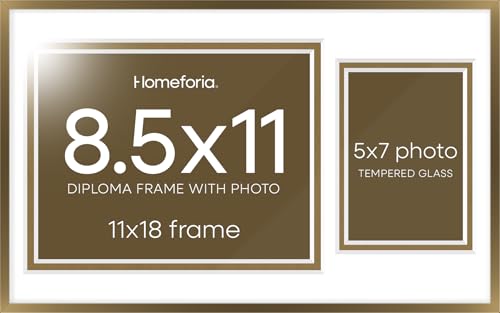 11x18 Bronze Diploma Frame (2 Count)