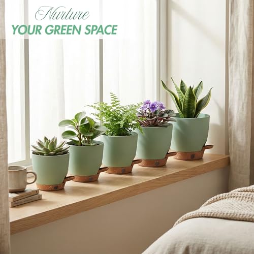 5 Pack Green 5 (5 Count)