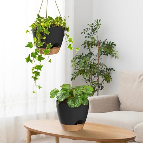 10 Inch Hanging Planters for Indoor Outdoor Plants (2 Count)