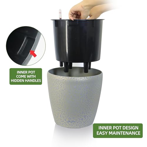 9x8 Self Watering Planter