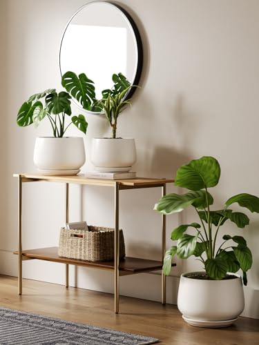 Ceramic Planter