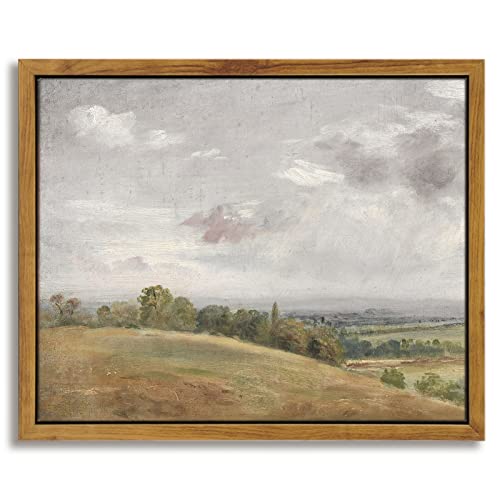 Framed Canvas Wall Art Vintage Decor