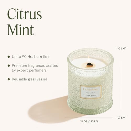 Citrus Mint Scented Candle for Home (19.4 Ounce)