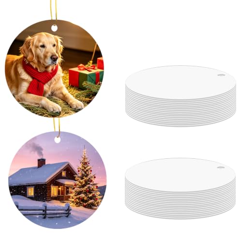 22 pcs Metal Sublimation Ornament Blanks (22 Count)