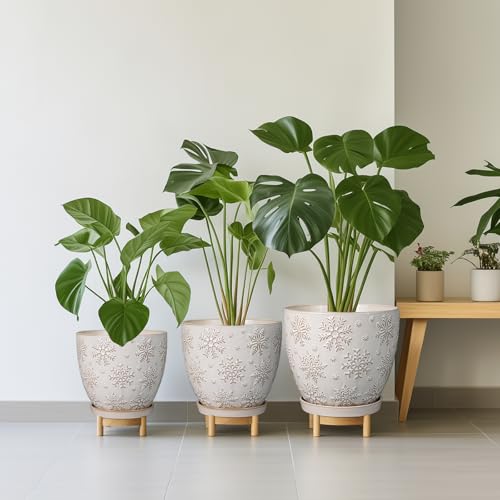 Ceramic Planter