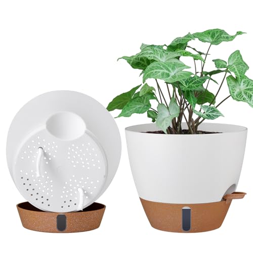 2 Pack 10 inch Plant Pots (2 Count)