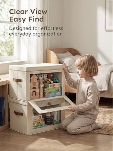 Large Closet Storage Organizer (2 Count)