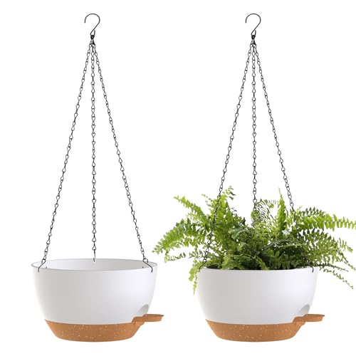 12 Inch Hanging Baskets 2 PC with Chains (2 Count)