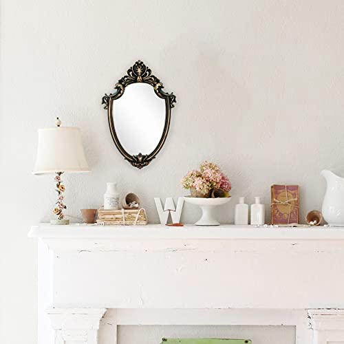 16.5 x 11.5inch Mirror Shield Shape Plastic Frame