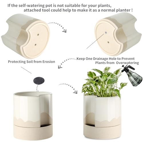 Ceramic Self Watering Plant Pot for Indoor Plants