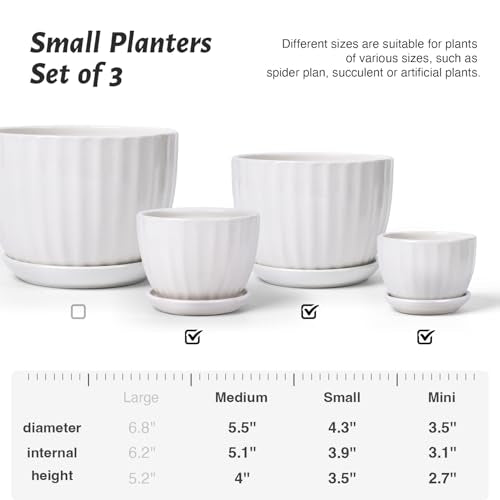 Ceramic Plant Pots with Saucers (3 Count)