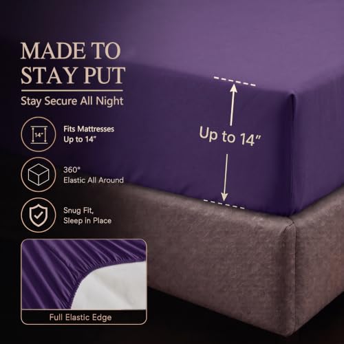 King Size Comforter Set Purple