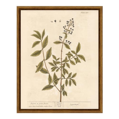Framed Boho Wall Art with Holder Minimalist Botanical Print Canvas Wall Art Pictures for Rustic Vintage Farmhouse Home Kitchen Wall Decor 8x10in