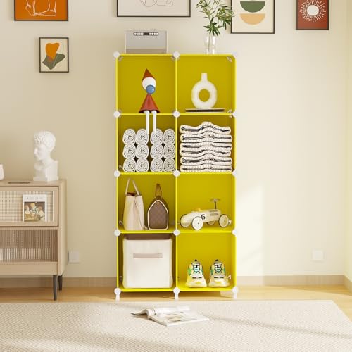 Cube Storage Organizer