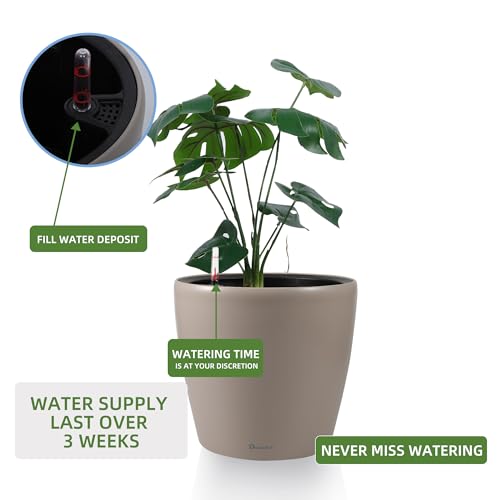 11x10 Self Watering Planter