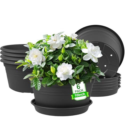 6 Pack 10 inch Plant Pot (6 Count)