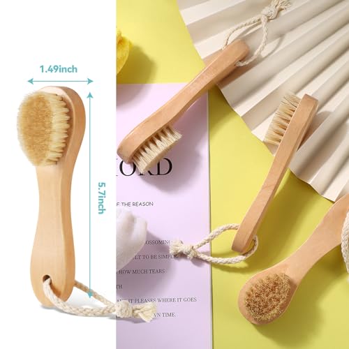 3 Pcs Wood Laundry Stain Brush Stain Remover Brushes with Boar Bristle Small Stain Brush for Clothes for Scrubbing Stains from Furniture Fabric Leather (3 Count)