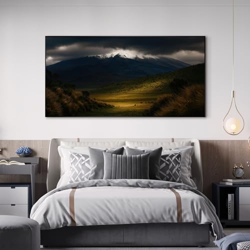 24"x46" Extra Large Framed Wall Art Majestic Snow