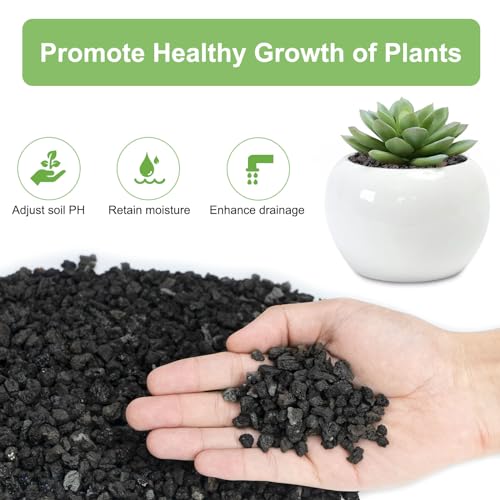5 lbs Pebbles for Indoor Plants