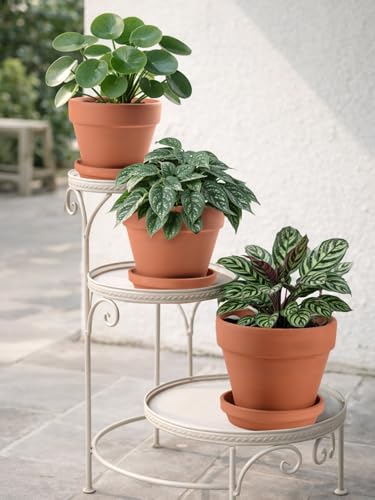 Terracotta Pots Set with Saucer (3 Count)