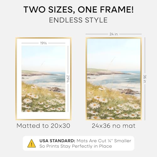 24x36 Gold Poster Frame