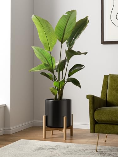12 Inch Pot for Plants