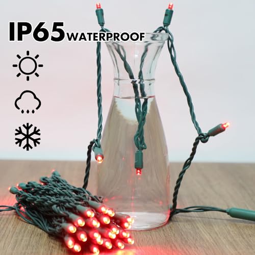 Valentine’s Day Red String Lights Indoor (600 Count)