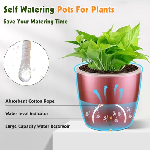 Self Watering Pots for Indoor Plants (6 Count)
