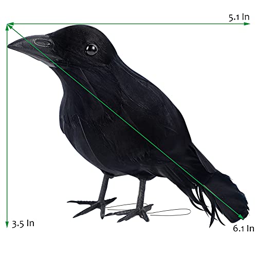 6 Pack Halloween Black Feathered Crows (6 Count)