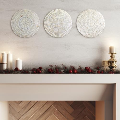 3 Pcs 11.8 Inches Mother of Pearl Shell Plate Coastal Wall Art Mosaic Wall Sculpture Shell Handmade Hanging Plates Arts for Halloween Christmas Bedroom Bathroom Home Office Hotel (3 Count)