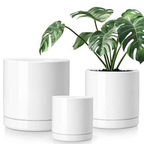 Ceramic Planters (3 Count)