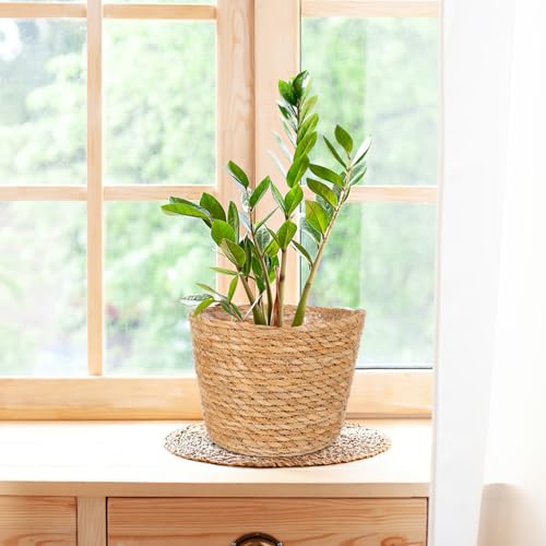 Woven Straw Flower Basket